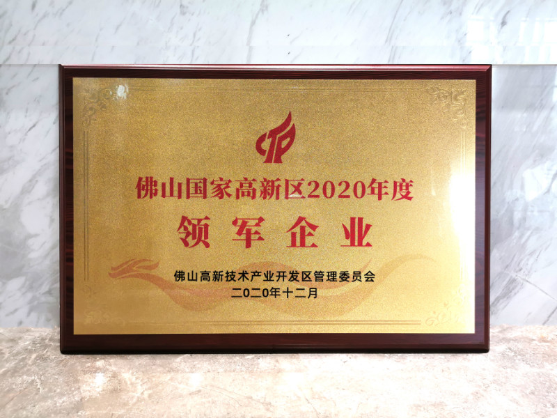 辛格林電梯榮獲“佛山國家高新區(qū)2020年度領(lǐng)軍企業(yè)”稱號！