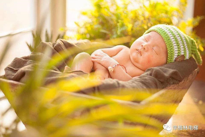 239306298403024315_副本.jpg 239306298403024315_副本.jpg