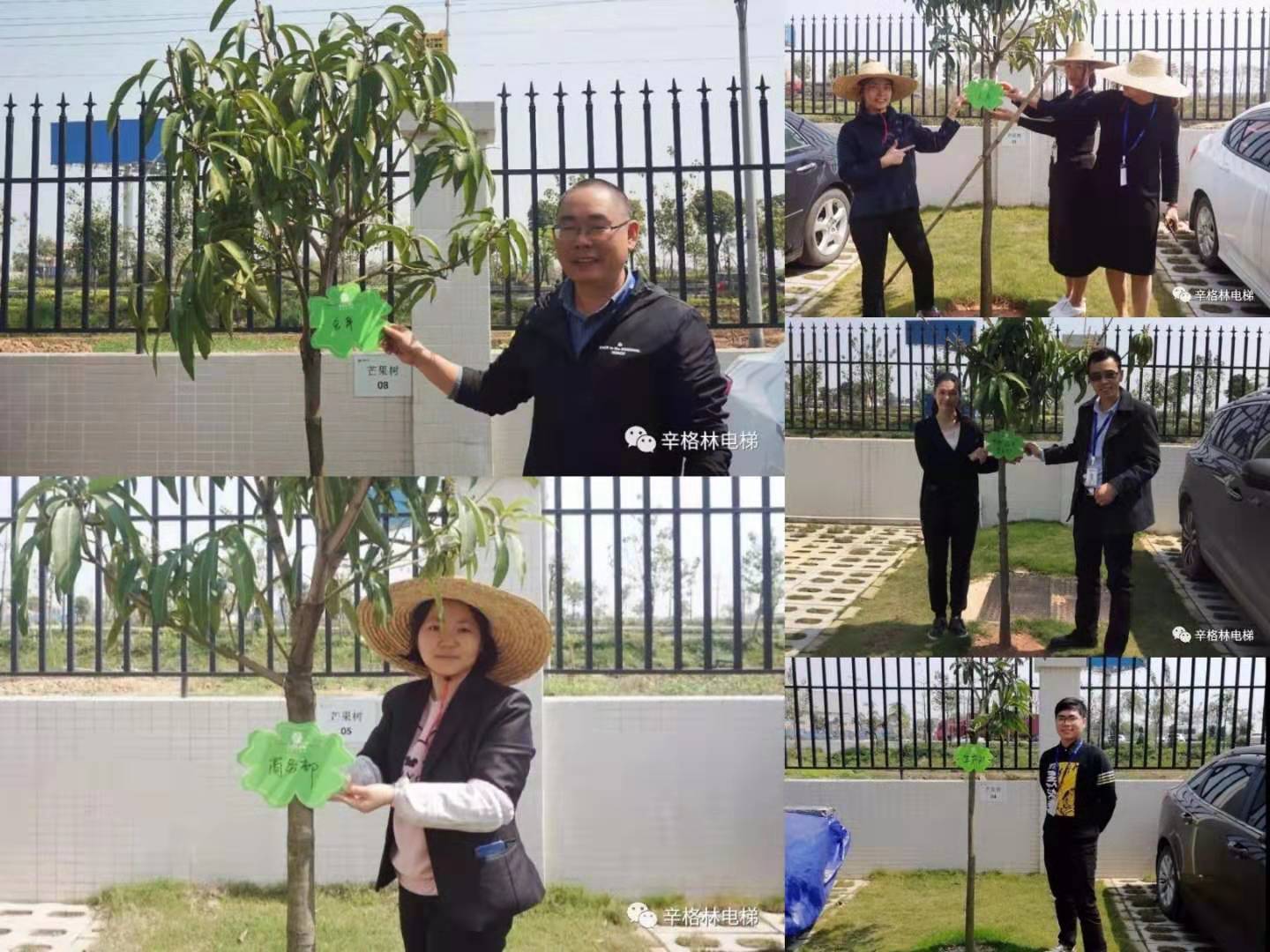 芒果樹認(rèn)領(lǐng)儀式