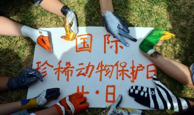 國際珍稀動物保護(hù)日 國際珍稀動物保護(hù)日