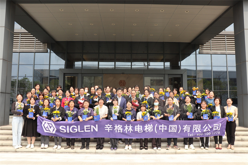 佛山別墅專(zhuān)用電梯品牌,佛山別墅專(zhuān)用電梯廠家